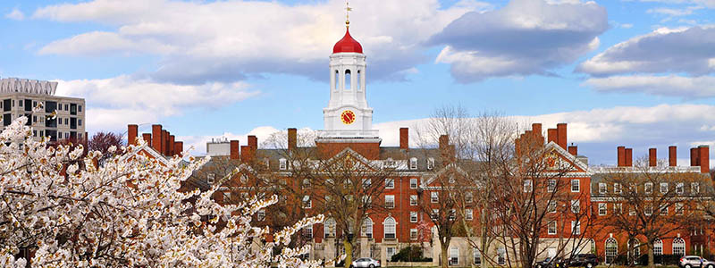Ivy League Colleges